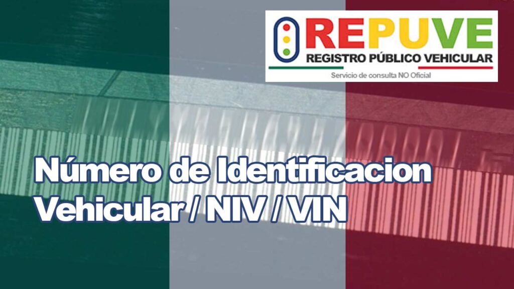 Número de Identificación Vehicular / NIV